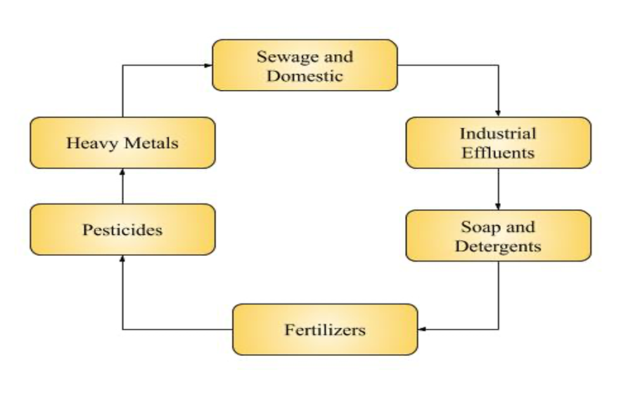 Nanotechnology Methods Using Fruit Peel Waste (FPW) in Wastewater Management